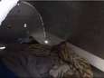 Daklozen verwarmen 'iglo' met eigen lichaamswarmte