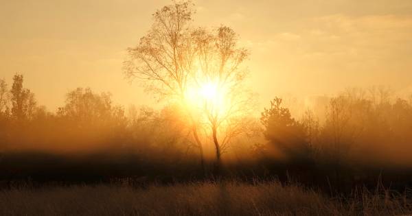 Natuurfotograaf Ben is de reden dat Budel altijd bij het weerbericht zit - Eindhovens Dagblad