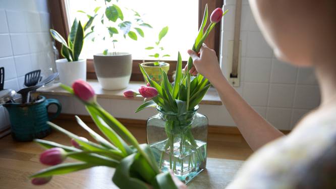 Een drupje bleek en minder groen: met deze tips blijft je bos bloemen langer mooi