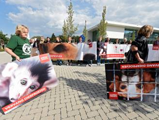 Elke maand nog altijd 20.000 dierproeven: "Noodzakelijk kwaad"