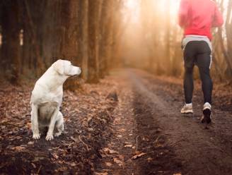 Als een hond naar jou loopt tijdens het joggen, wandelen of fietsen, hoe moet je dan reageren?
