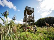 Vernielde uitkijktoren in Harderwijks bos krijgt opvolger (nog wel even wachten op de stikstoftest) 