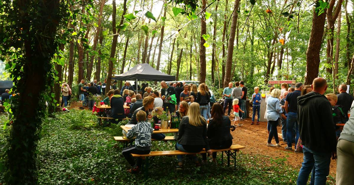 Nieuw festival in Daarle krijgt ‘zeer waarschijnlijk’ een vervolg