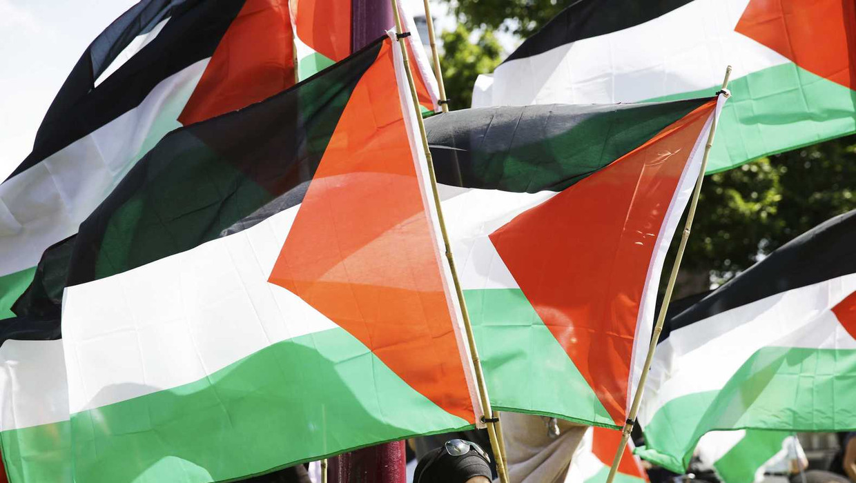 Pro-Palestijnse demonstratie op het Museumplein. Beeld anp