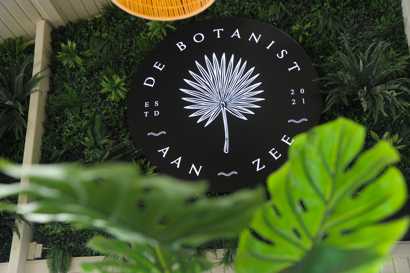 De Botanist aan Zee in Dishoek serveert een huiskamergevoel in de