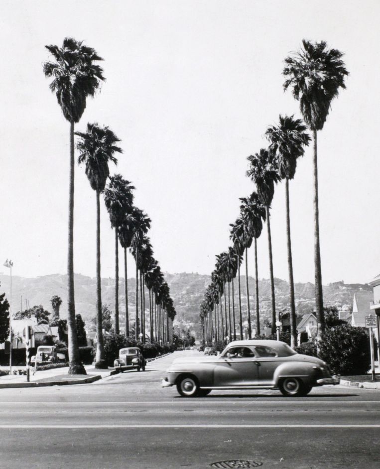 Los Angeles in de jaren vijftig. Beeld Getty