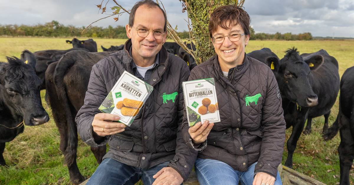 Biefstuk of bitterballen: van het Aberdeen Angus ras gebruikt men kop tot staart
