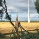Februaristormen lucratief voor Nederlandse windparken