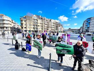 Dierenrechtenorganisaties voeren actie tegen de komst van zalmkwekerij in Oostende: “Het wordt tijd om dit vissenleed ernstig te nemen”
