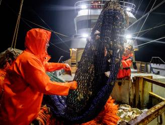 Nederlandse visserij beticht van miljoenenfraude, volgens Brussel is er niks aan de hand