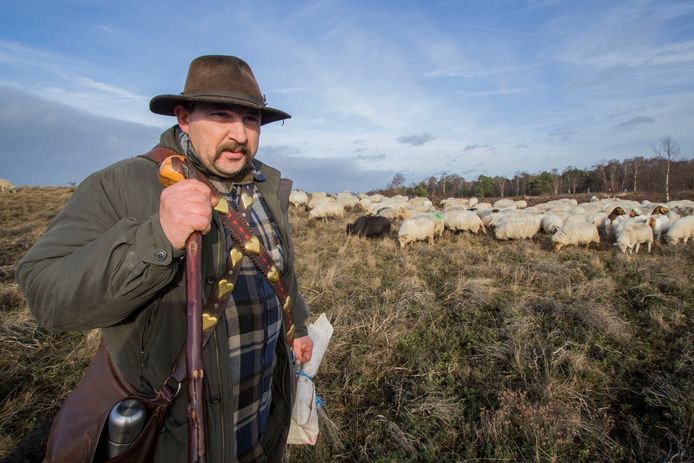 Schaapsherder André Kühn hoopt dat een ezel zijn schapen  gaat beschermen tegen mogelijke aanvallen van wolven of loslopende honden.