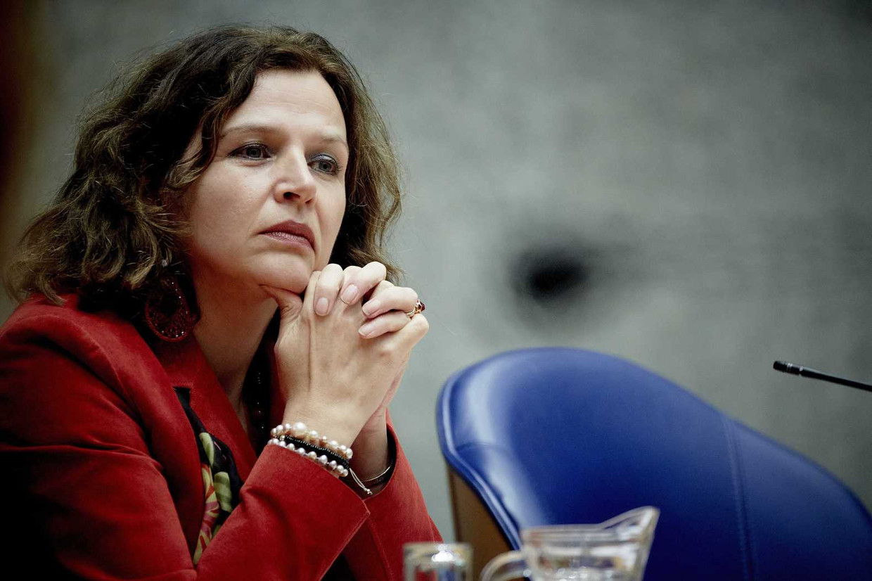 Minister Edith Schippers van Volksgezondheid, Welzijn en Sport tijdens het vragenuur in de Tweede Kamer. Beeld anp