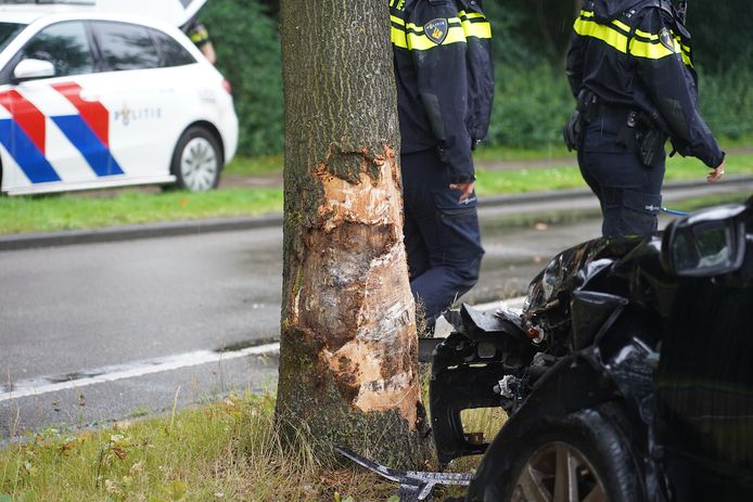 Op de Dongewijkdreef in de Tilburgse Reeshof is een auto tegen een boom gebotst.