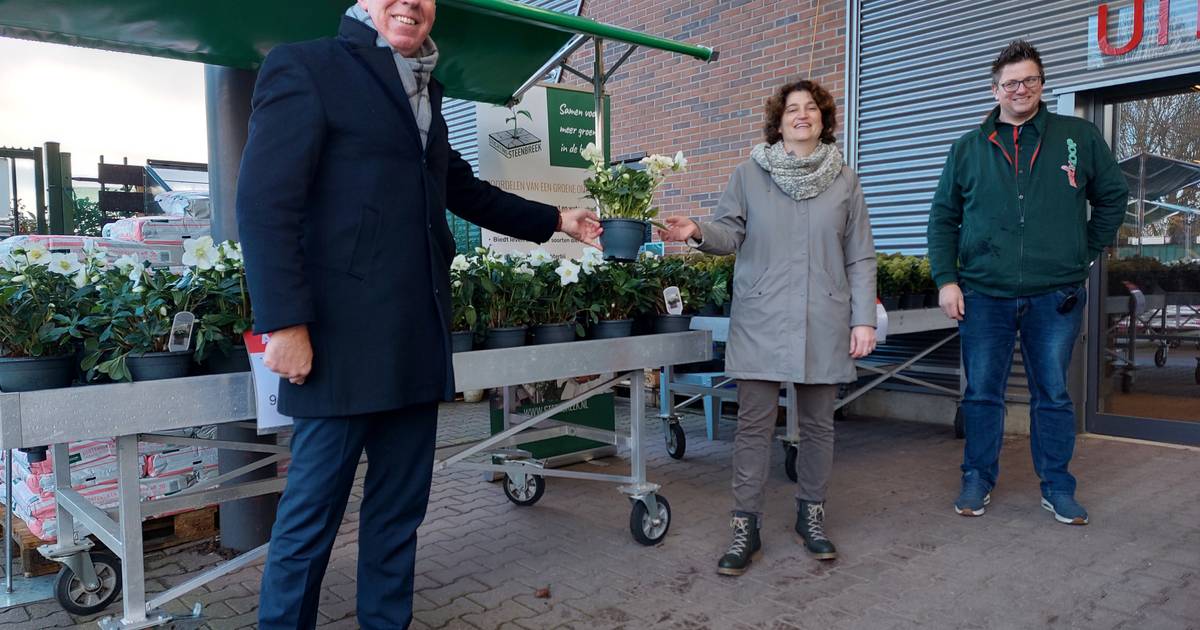 Zaltbommel plant voor klimaatverandering met gratis struik