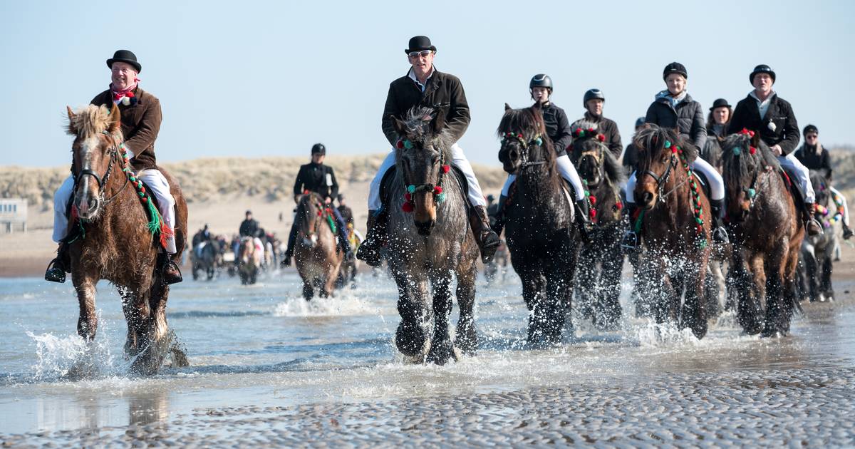 Het zijn alleen maar Belgen bij de enige strao waar je nog écht de kroeg in gaat