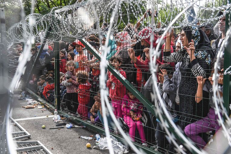 Een hek aan de Hongaarse grens met Servië moet de Schengenzone beschermen. Beeld AFP