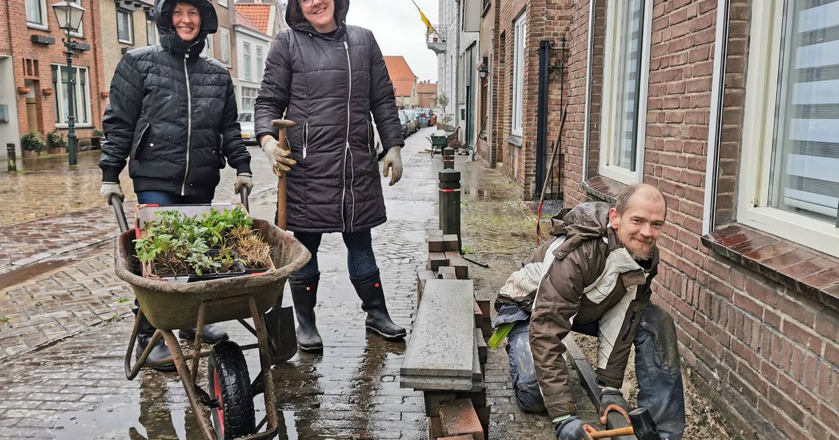 Klinkers maken plaats voor geveltuintjes: ‘Dit project is typisch Aardenburg’