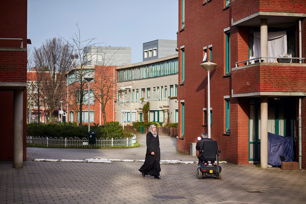 Straatbeeld in de Haagse wijk Transvaal.  Beeld Phil Nijhuis