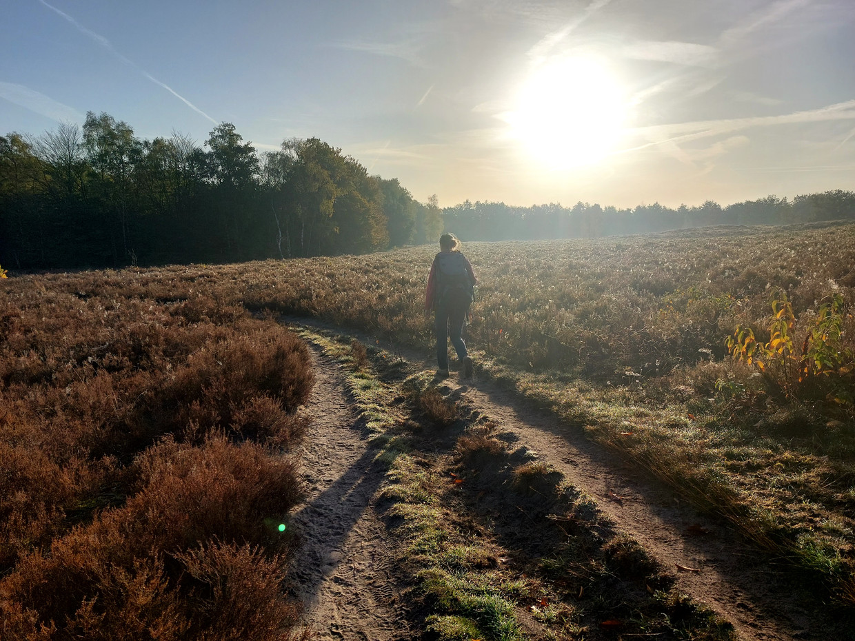Wandelen op de Tonnenberg.