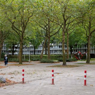 Amsterdam North neighborhood faces rising youth nuisance