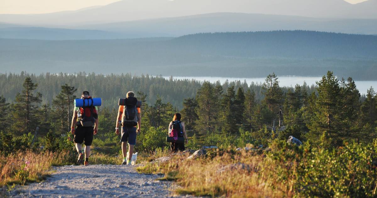 Rekordvarme i Lappland: &laquo;Skandinavia er nå som en ovn&raquo; |  I utlandet