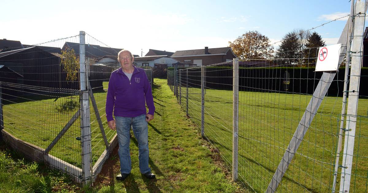 Voetweg Loopt Dwars Door Tuinen Kortenberg Hln Be