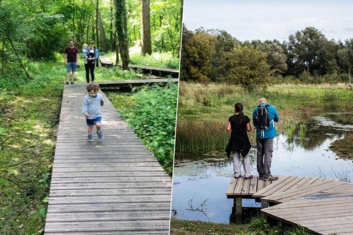 Het is wandelweer! Ontdek hier 92 wandeltips in heel Vlaanderen | Regio ...