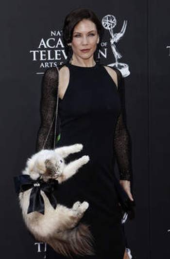 Un Chat Mort En Guise De Sac Ou Va T On Tendances 7sur7 Be