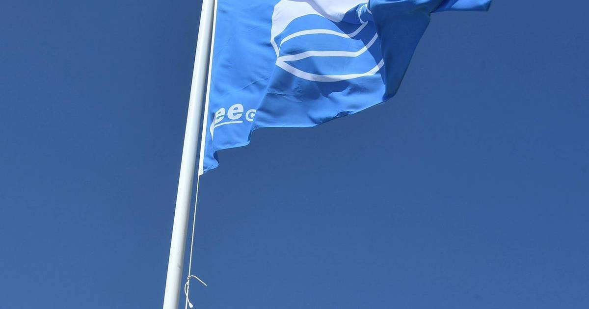 Jachthaven Met Blauwe Vlag En Groene Wimpel 