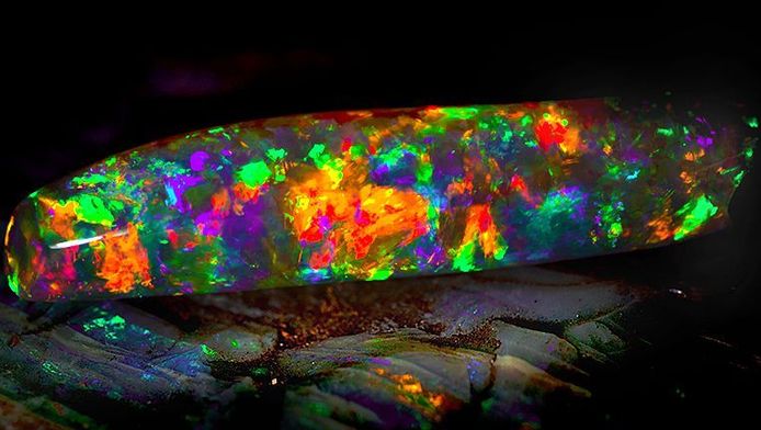 Dit de mooiste opaal op aarde en u hem eindelijk bekijken | Wetenschap & Planeet | hln.be
