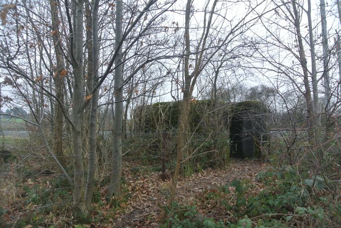 De historische bunker D19 werd weer proper gemaakt door Luc.