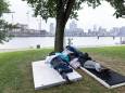 Rotterdam overspoeld door Oost-Europese arbeiders: ‘Westland laat huisvesting over aan grote steden’