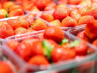 Waarom zijn buitenlandse aardbeien goedkoper dan Belgische? En zijn ze duurder dan vorig jaar?