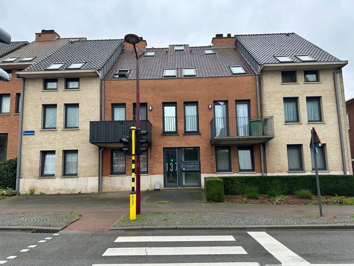 GENTSE BOKSTRAINER 45 IN DE CEL NADAT HIJ BROERS VOOR DOOD visual data 7