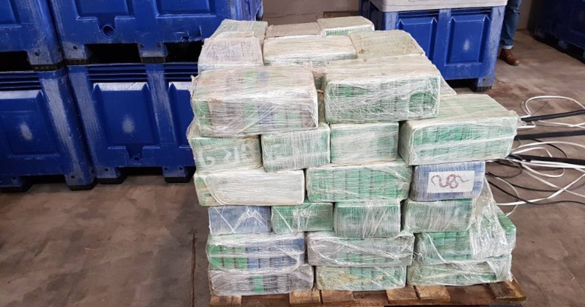 300.000 euro aan cash en luxegoederen in huis: 'Vuitton-bende' die 25  containers met cocaïne invoerde, riskeert tot 10 jaar cel, Foto