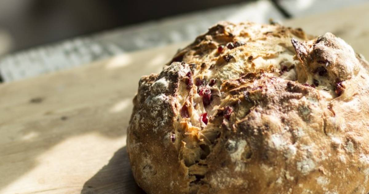 Hoe Lang Blijft Brood Goed In De Vriezer?