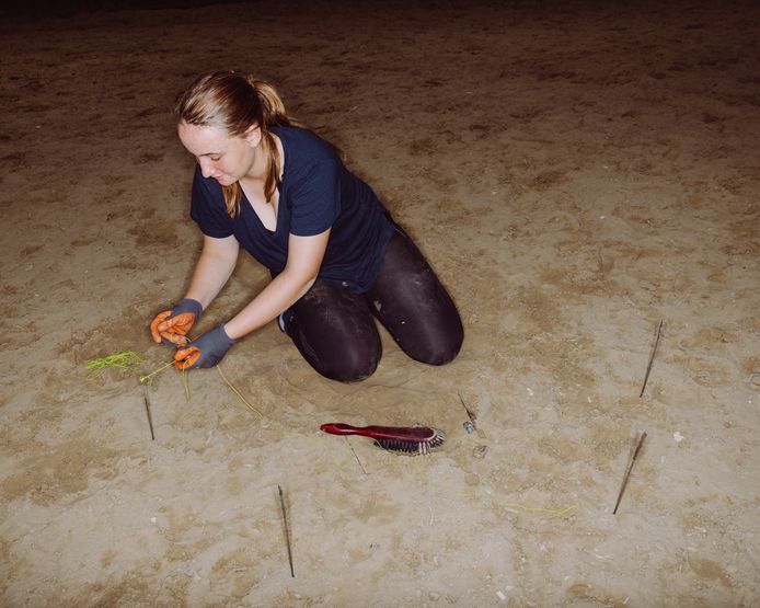 Charlotte Horemans (17) gaat archeologie doen: ‘Laat mij maar even met mijn blote handen de grond afgraven.’
