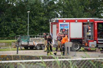Zes babyeendjes gered uit rioolzuivering in Waspik