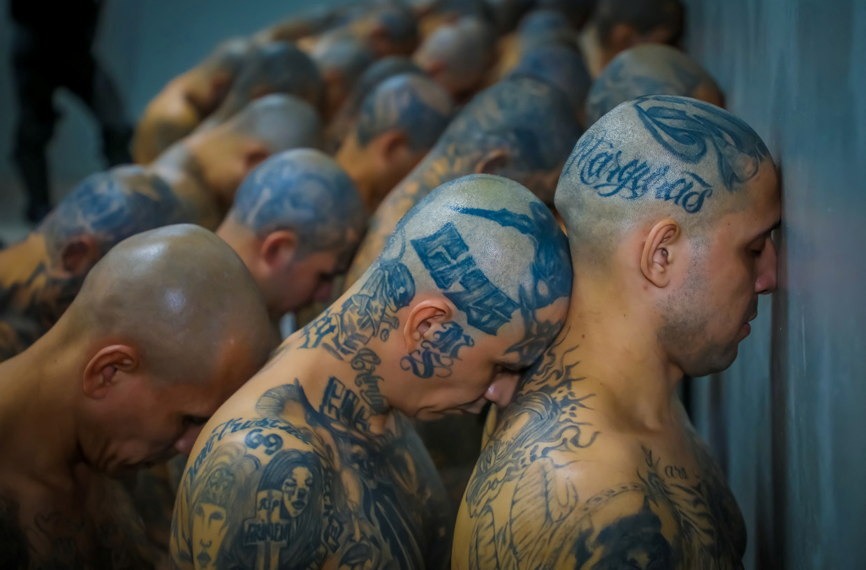 null Beeld via REUTERS