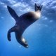 Galapagos-documentaire vol beste bedoelingen  ★★☆☆☆