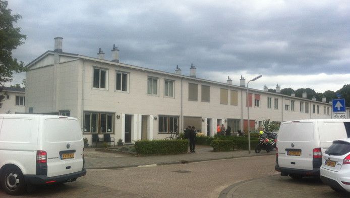 Mick Pitai werd op 15 september 2015 in zijn woning aan de Betuwestraat in Tilburg doodgeschoten.