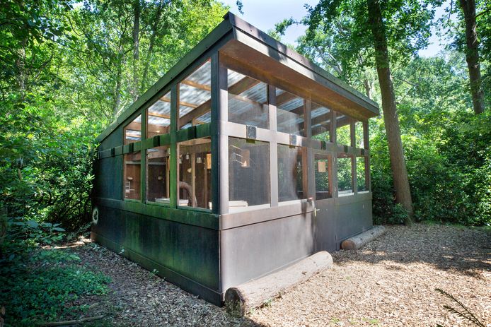 De ‘Kanariestudio’ van Eindhovenaar Paul Panhuysen in het Klankenbos in Neerpelt. Helaas 'buiten gebruik' vanwege een op handen staande verhuizing. De kanaries zijn er nog wel.