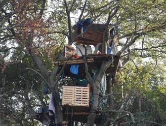 Laatste activistenboomhut ontmanteld in omstreden Duits bos