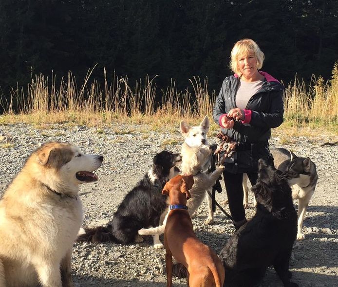 Annette Poitras is een professionele 'dog walker': ze wordt betaald om honden uit te laten.