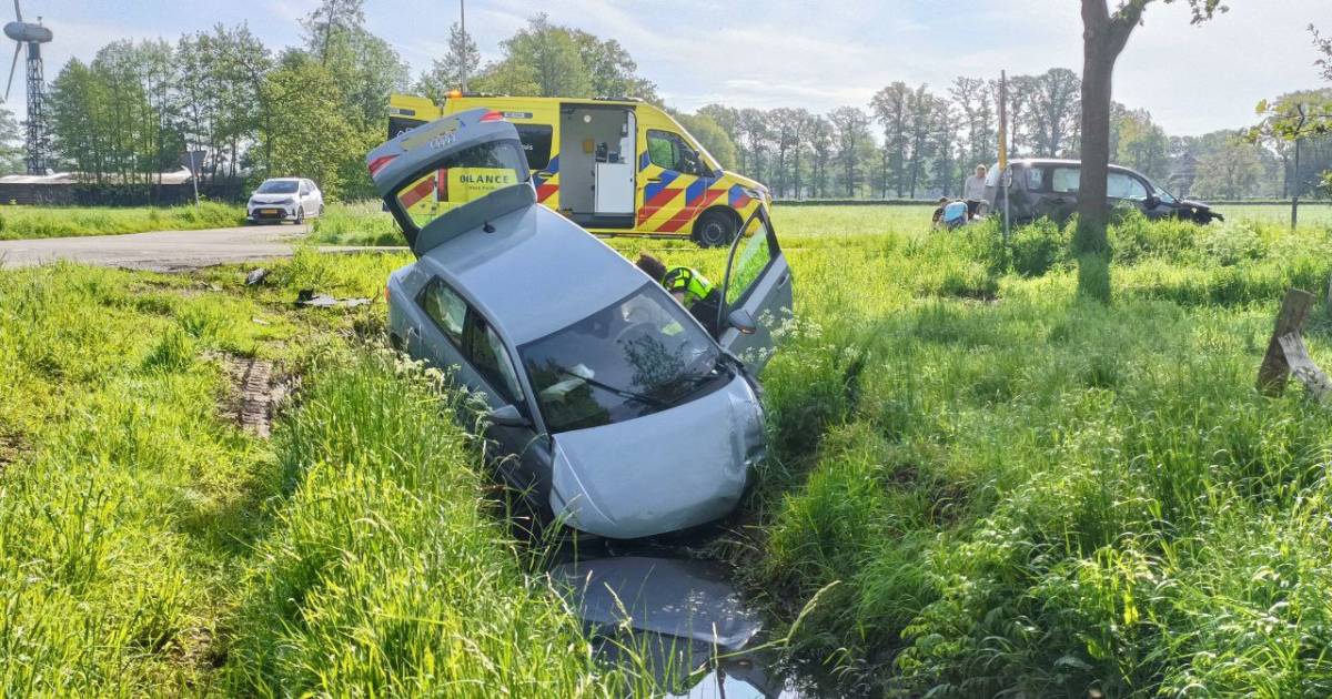 Auto met tien honden in kofferbak belandt in sloot bij ongeluk in Geerdijk.