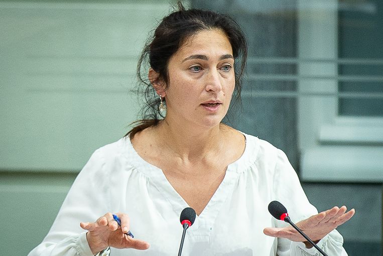 Vlaams minister van Energie Zuhal Demir (N-VA). Beeld BELGA