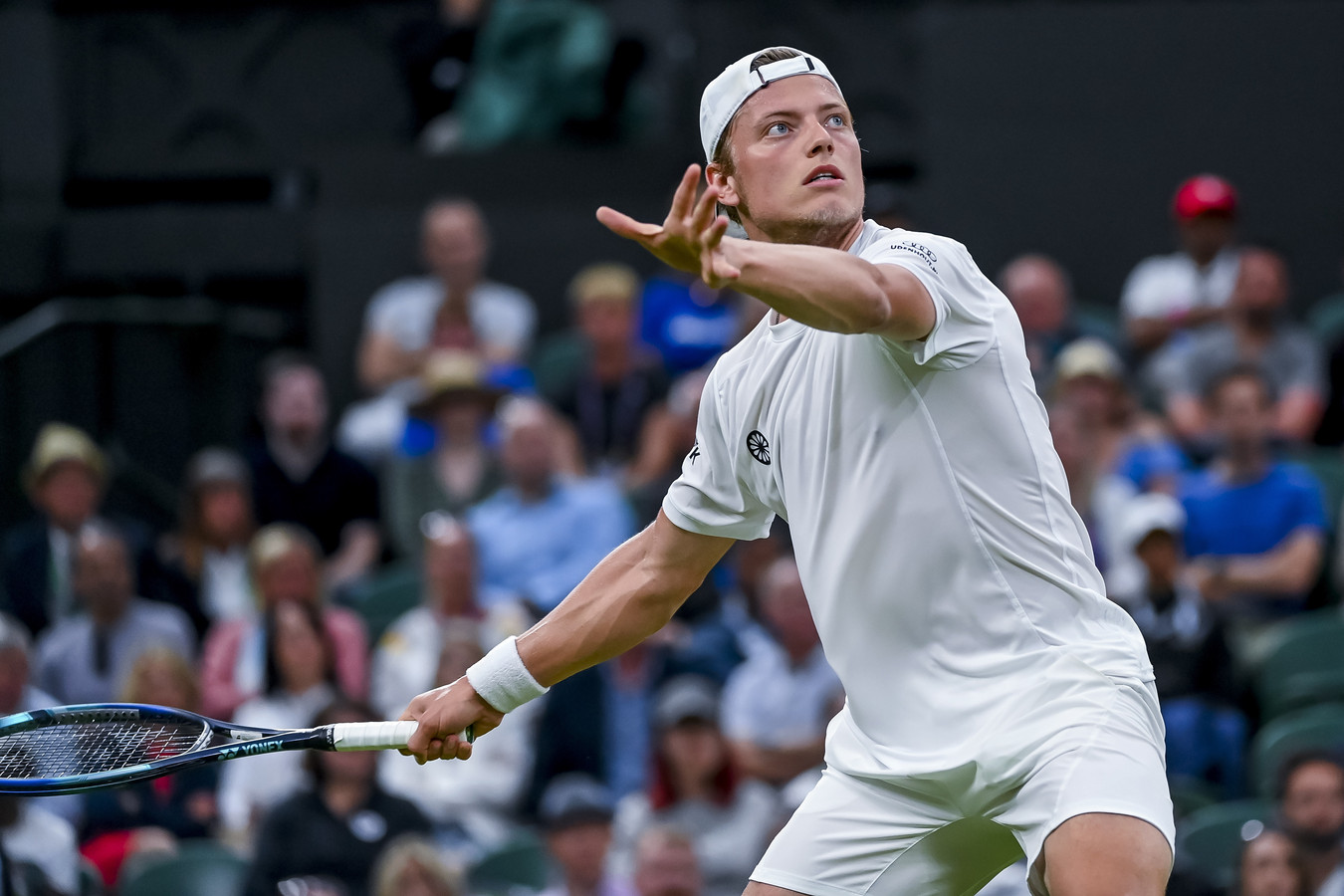Diepe buiging voor Tim van Rijthoven op Wimbledon ‘Djokovic voorspelt me zonnige toekomst