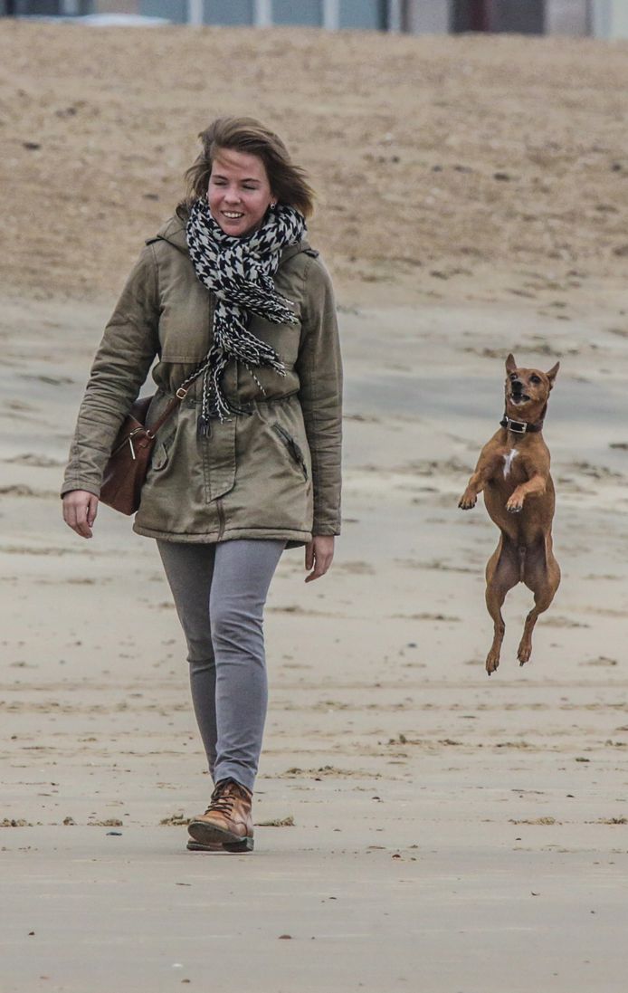 Dol van vreugde: deze viervoeter op het strand van Knokke-Heist weet met zijn blijdschap geen raad. Wellicht gaat hij uit de bol omdat er even mag worden gerend op het strand. Zijn bazin weet hoe haar trouwe hond zich momenteel voelt.
