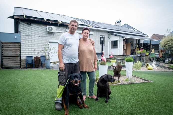 Steven Van den Nieuwenhof en Lizel Torfs (op foto met honden Qiwi en Simba) wonen nu in een bijgebouw in de tuin.