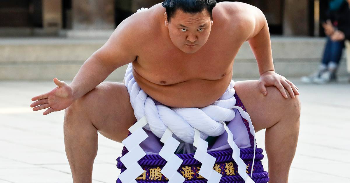 The plane is too heavy: not because of the suitcases, but because of a group of sumo wrestlers |  strange